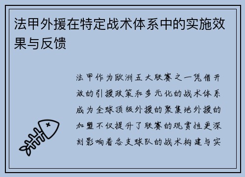 法甲外援在特定战术体系中的实施效果与反馈